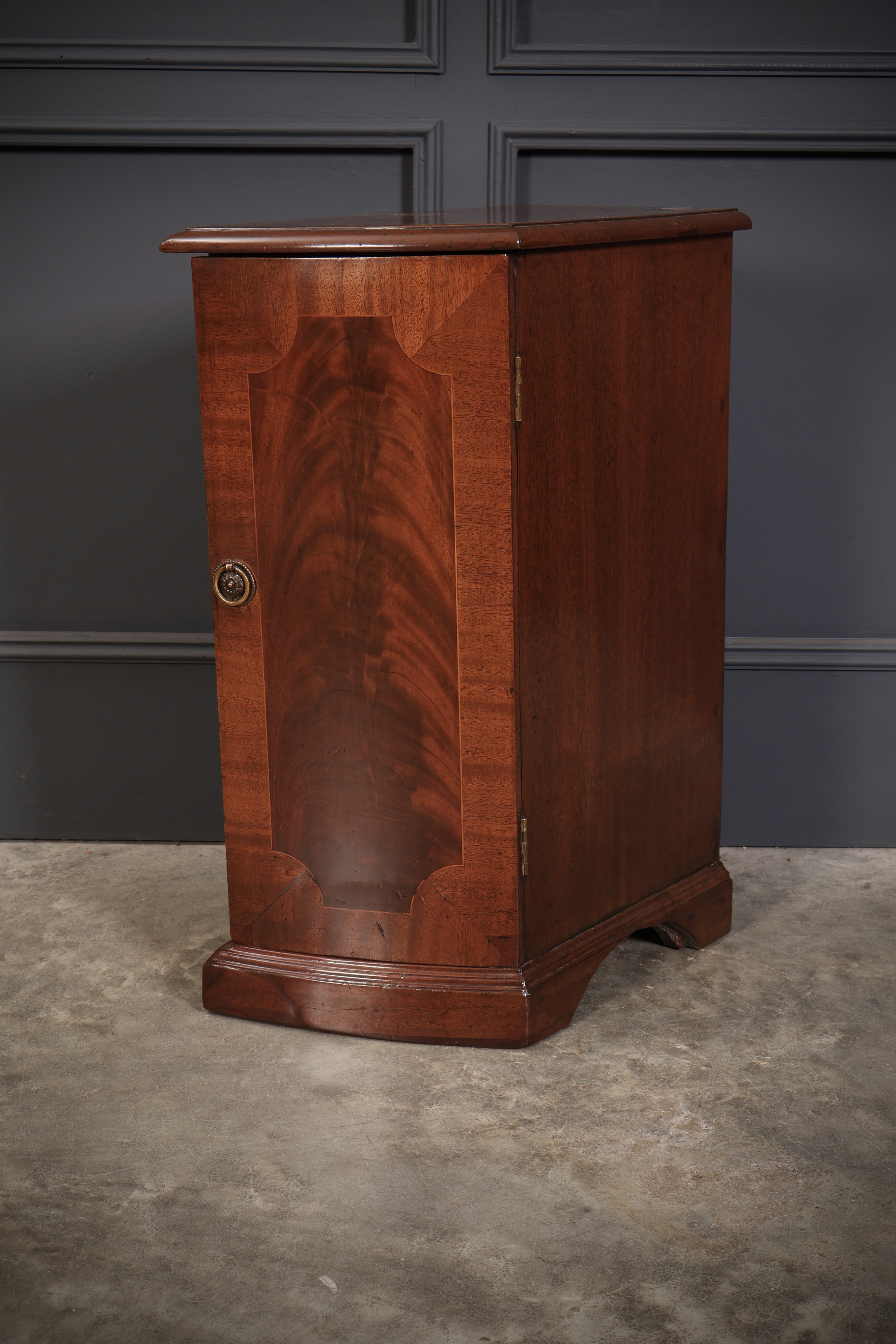 Pair Of Regency Mahogany Pedestal Cabinets - Image 7